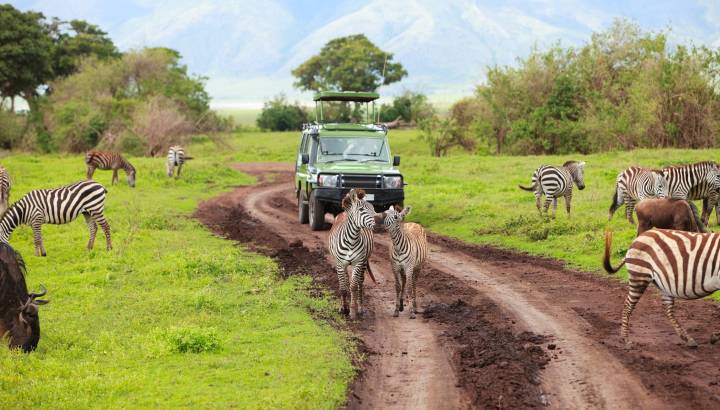 Search for Your Perfect Luxury Vacations
