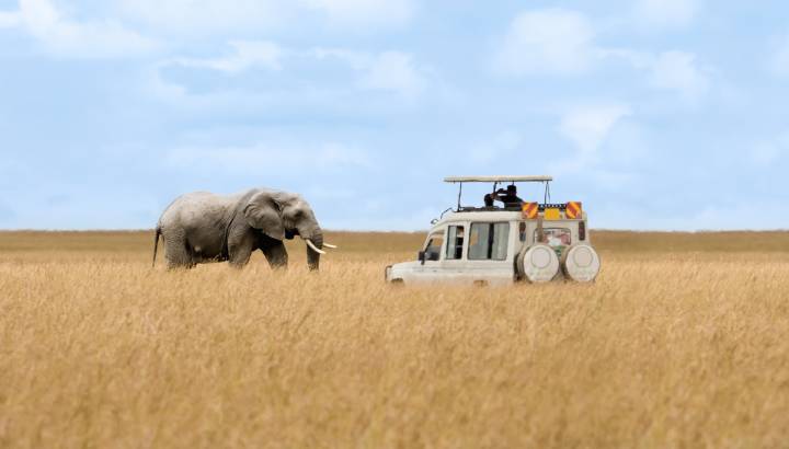 Search for Your Perfect Luxury Vacations
