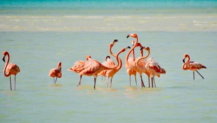 Search for Your Perfect Luxury Vacations