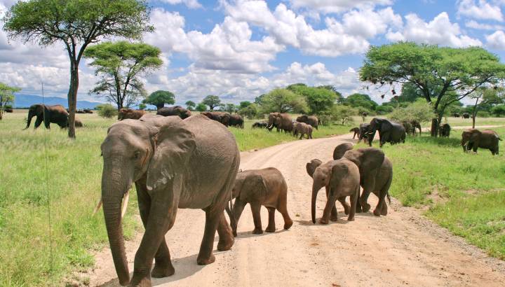 Search for Your Perfect Luxury Vacations