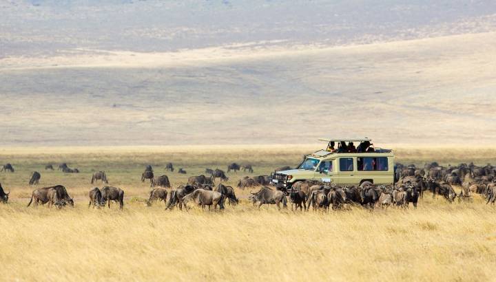 Safari tourists on game drive in Ngorongoro