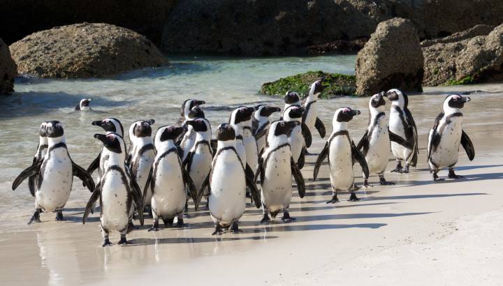 Search for Your Perfect Luxury Vacations
