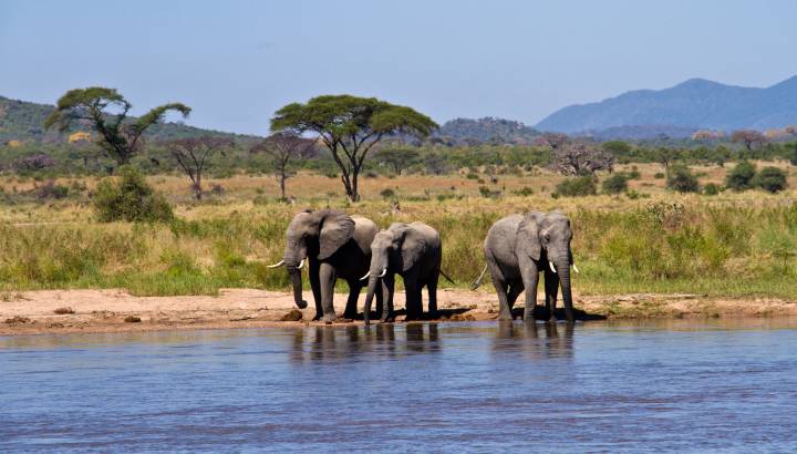 Search for Your Perfect Luxury Vacations