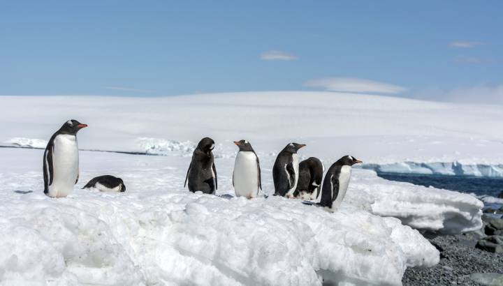Search for Your Perfect Luxury Vacations