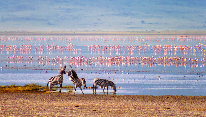 Search for Your Perfect Luxury Vacations