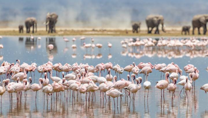 Search for Your Perfect Luxury Vacations