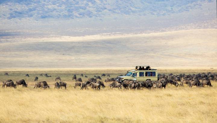 Search for Your Perfect Luxury Vacations