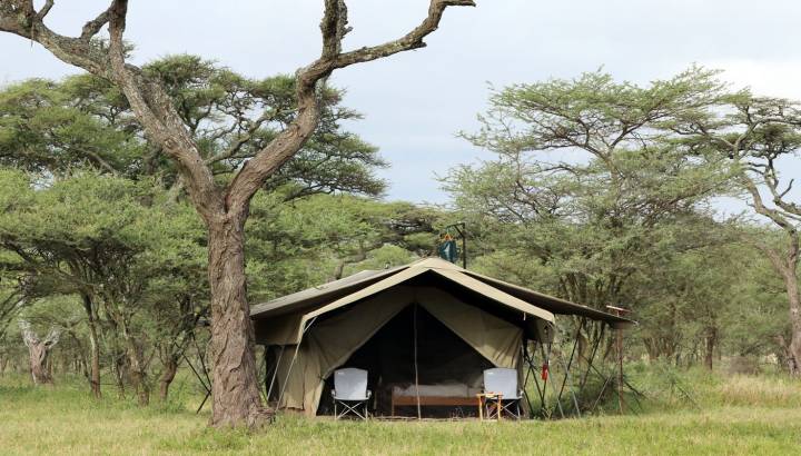 Exterior view of guest tent at Serengeti North Wilderness Camp in Northern Serengeti, Tanzania