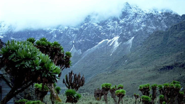 Rwenzori Mountains National Park