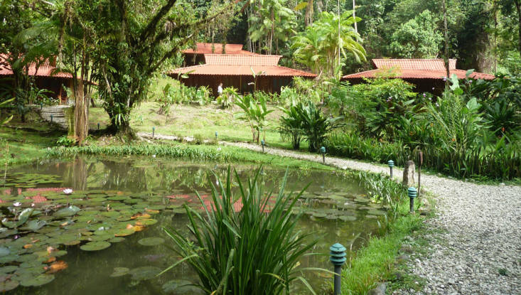 Esquinas Rainforest Lodge