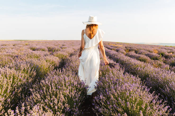 Walking in Provence, France