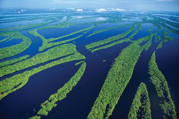 Central Amazon Conservation Complex