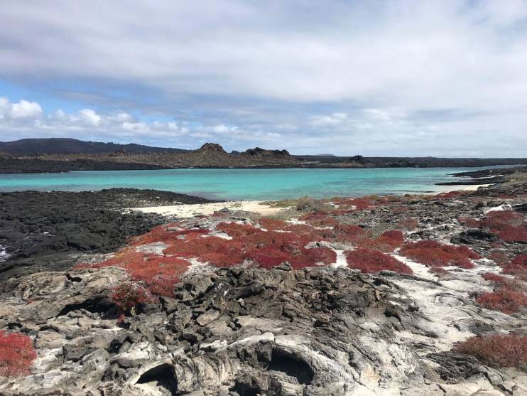 galapagos