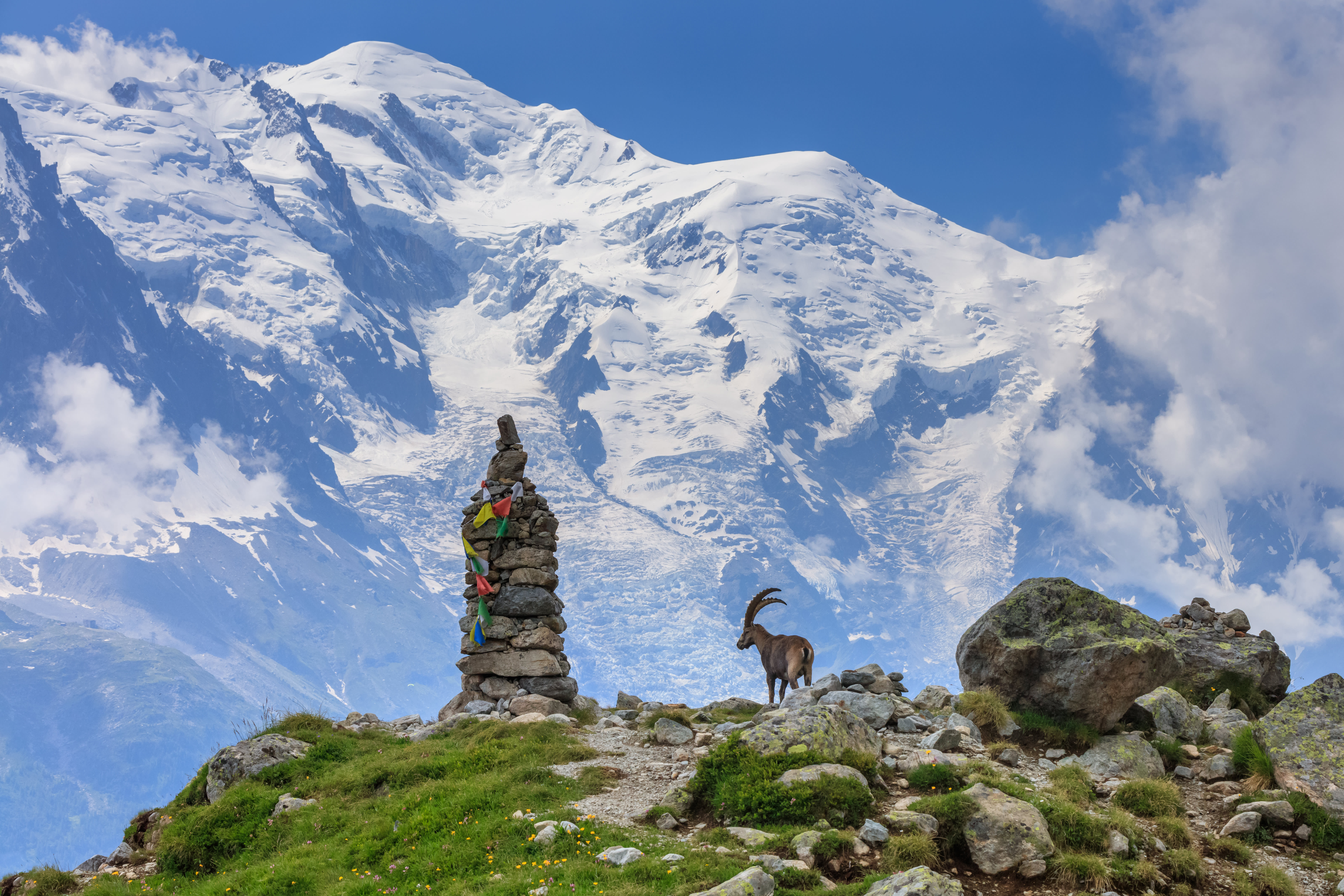 5 Wonderful Walks in the Alps