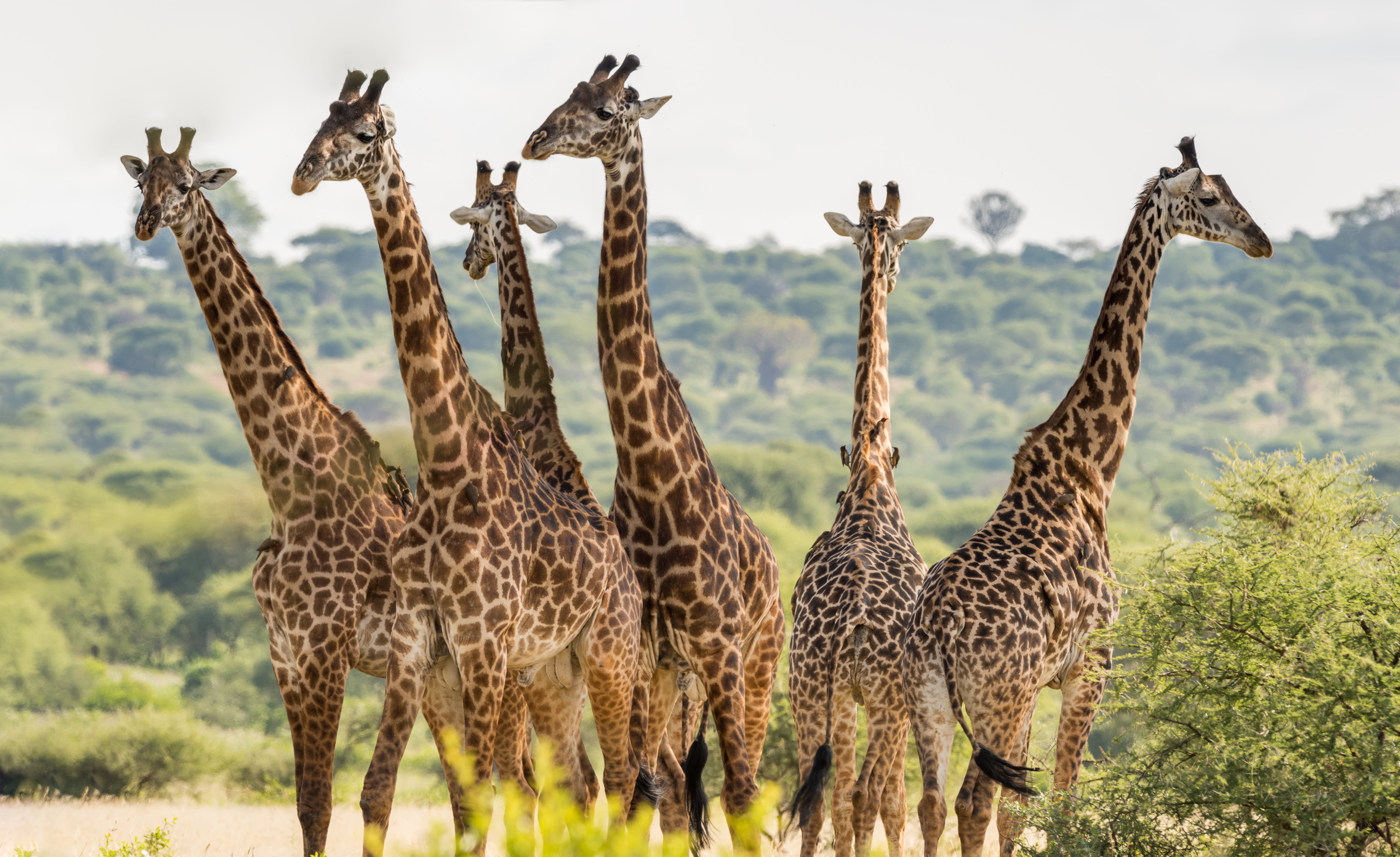 Top 15 Destinations to Visit in Summer 2024