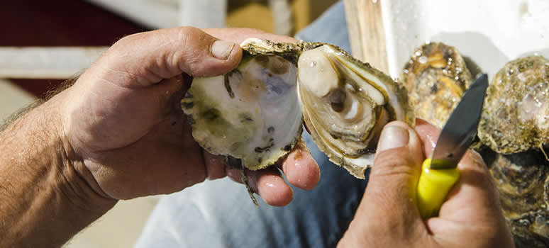 Man holding oyster