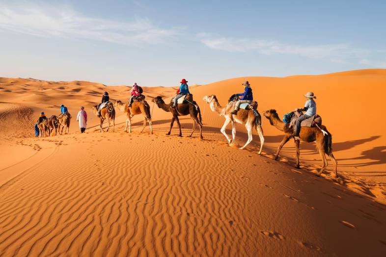 Camel train in the desert, Morocco