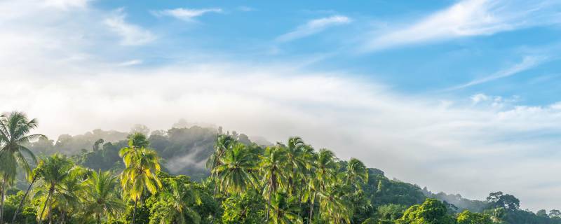 What’s the Difference Between Tailor-made Travel and a Group Tour?