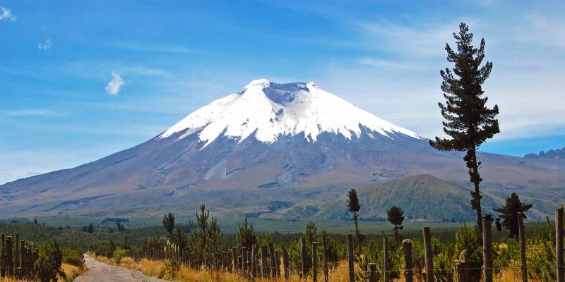 Ecuador & Galapagos