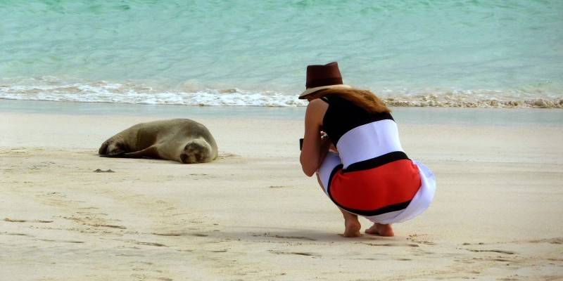 Photographing a seal on the beach - Visit the Galapagos Islands