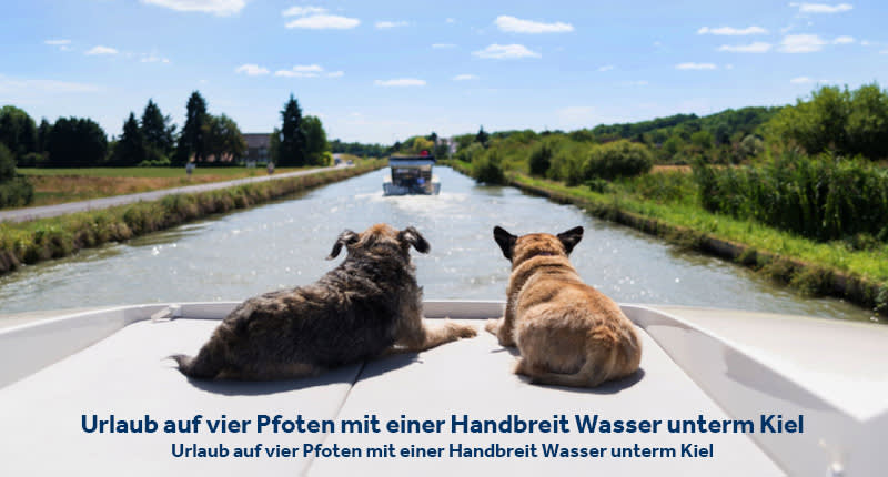 Urlaub auf vier Pfoten