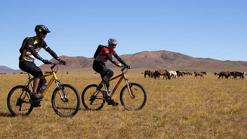 Cycling in the Mongolian steppe
