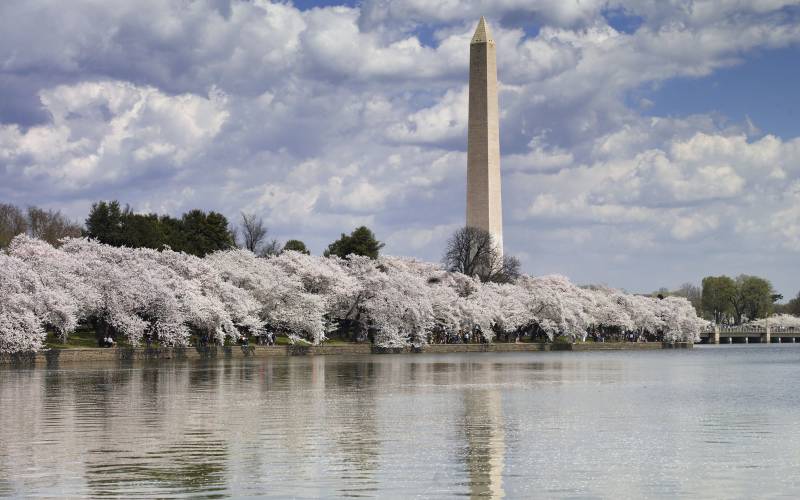 Washington Monument