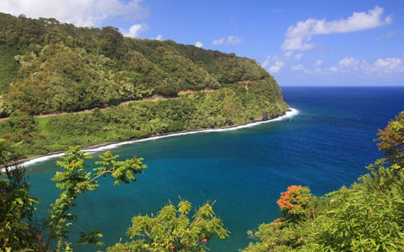 an island in the middle of a body of water surrounded by trees with Hana Highway in the background