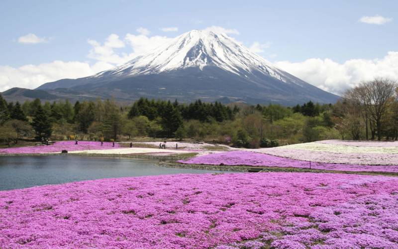 Mt Fuji