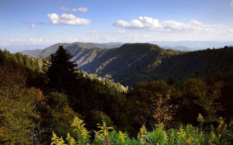 The Great Smoky Mountains National Park
