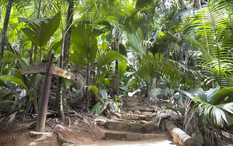 Battle of the paradise islands – Hawaii versus the Seychelles