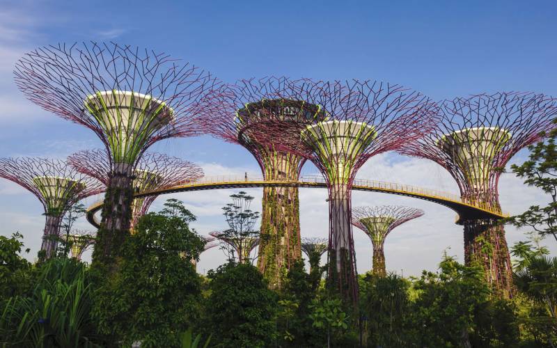 Gardens By the Bay, Singapore