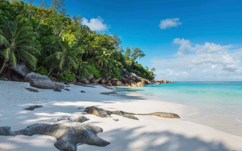Beach View