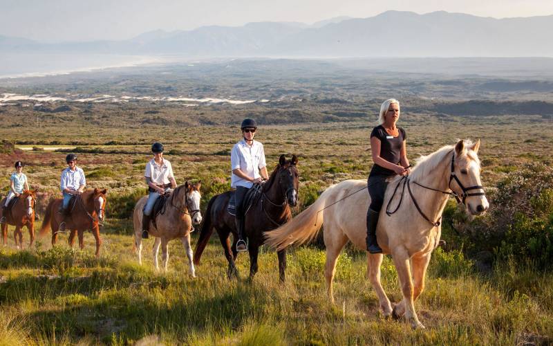 a person riding a horse in a field