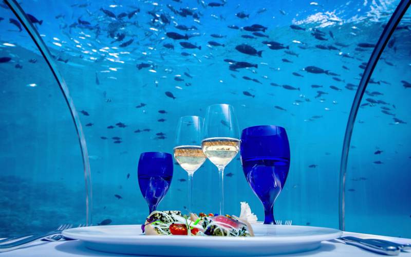 5.8 Undersea restaurant