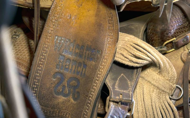 Saddle