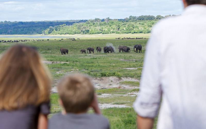 Plan the perfect family safari holiday