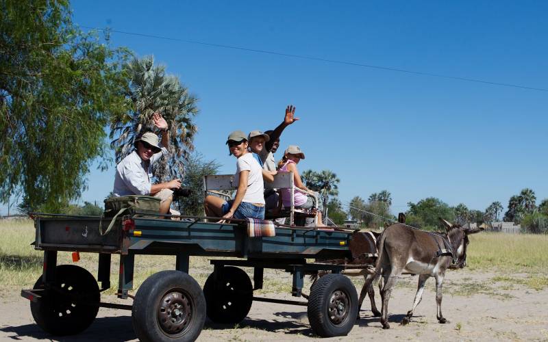 Donkey ride on a family safari holiday
