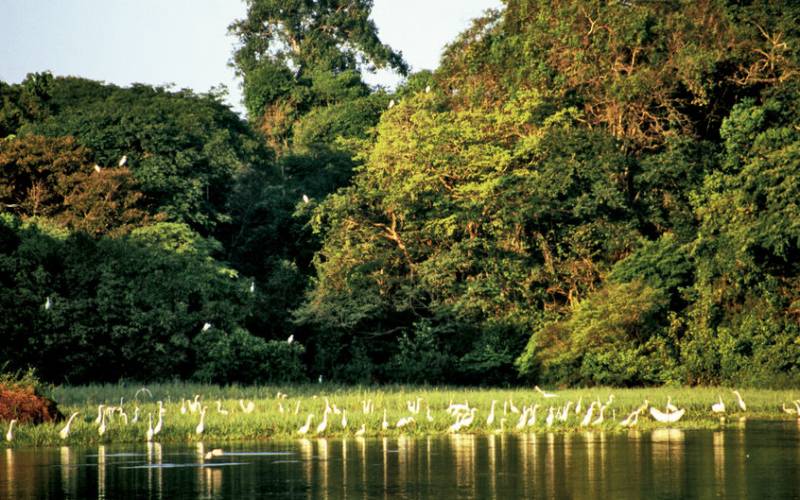 Adrenaline-filled adventures around the world