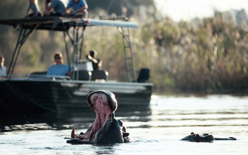 7 Best African Safari Destinations