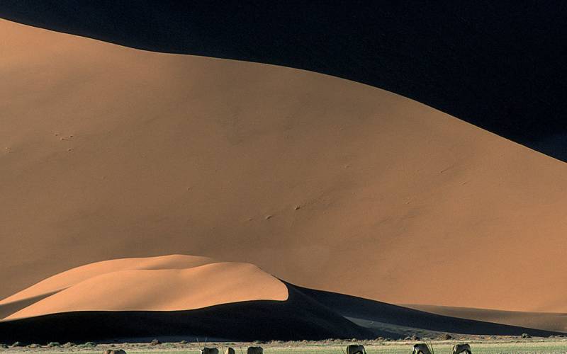7 Best African Safari Destinations