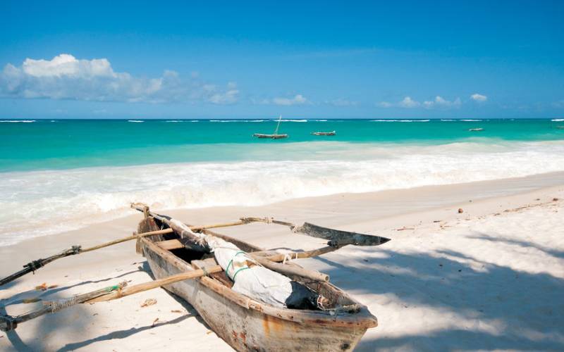An Experts Guide To Kenya