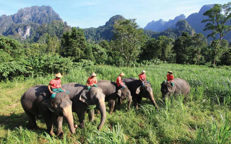 Ultimate bucket list Part 5