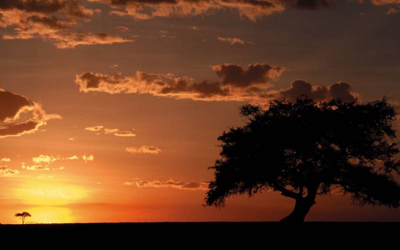 An Experts Guide To Kenya