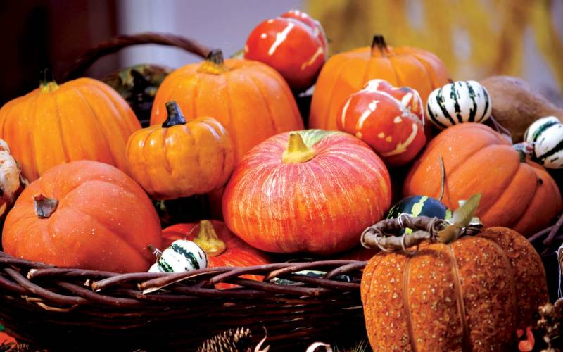 Celebrate Halloween in the USA and Canada