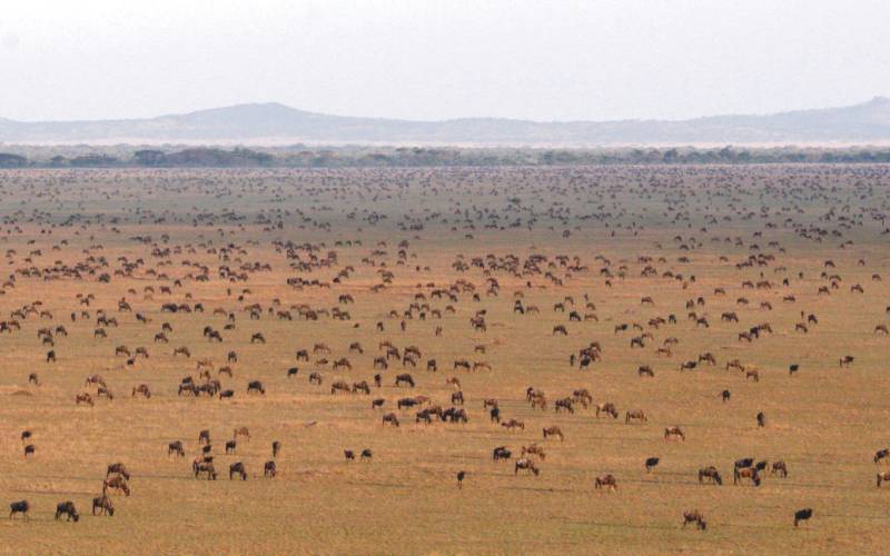 Eight of the Best Views in the World