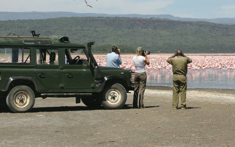 An Experts Guide To Kenya