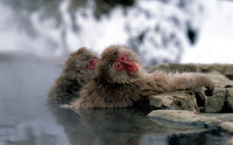 Hokkaido – Japan’s Nature Island