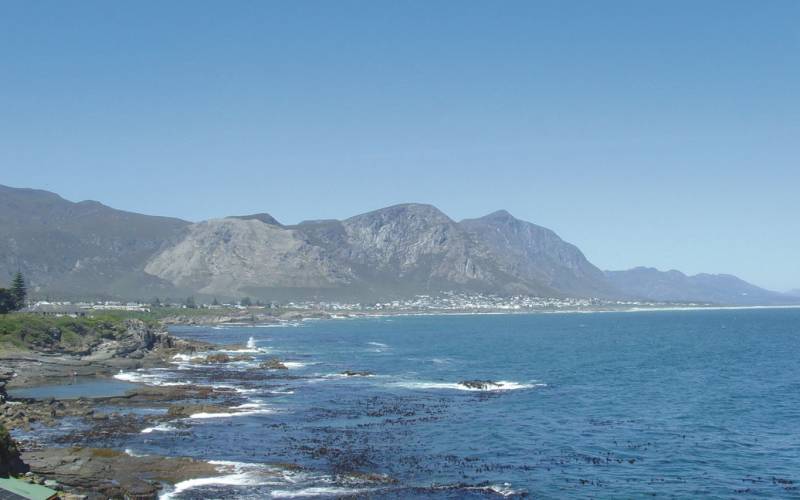 Get behind the wheel on the Garden Route