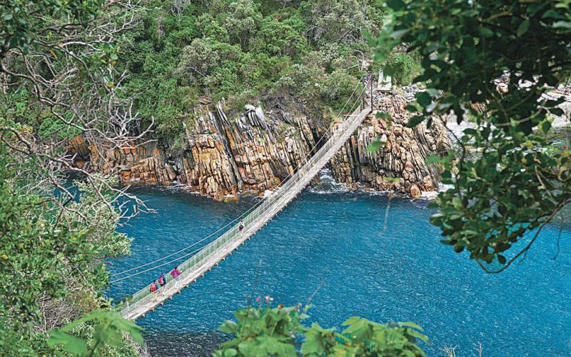 Get behind the wheel on the Garden Route